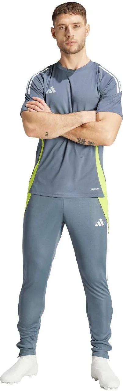Pamja 3