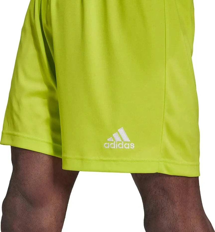 Pamja 3