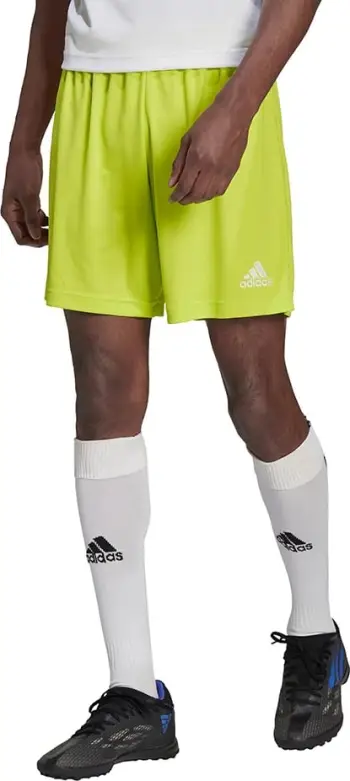 Shorce për meshkuj adidas Entrada 22, të gjelbërta