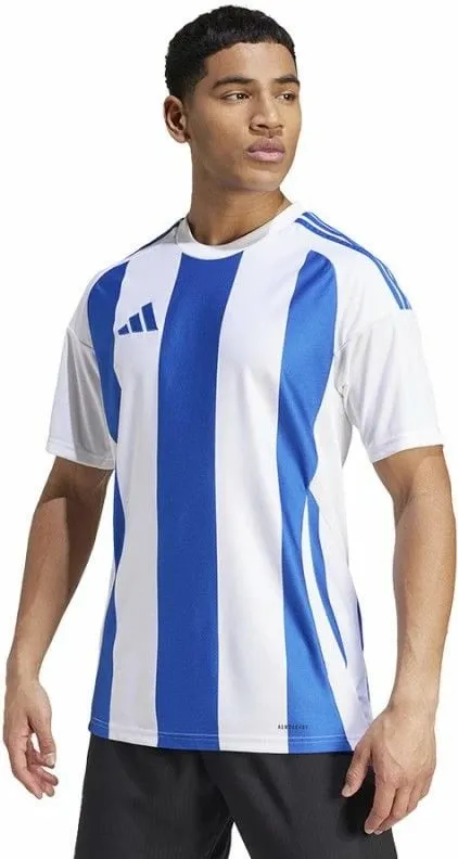 Pamja 1