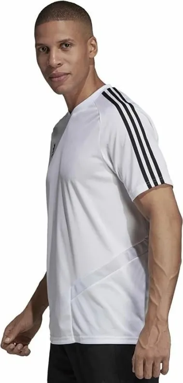 Pamja 3
