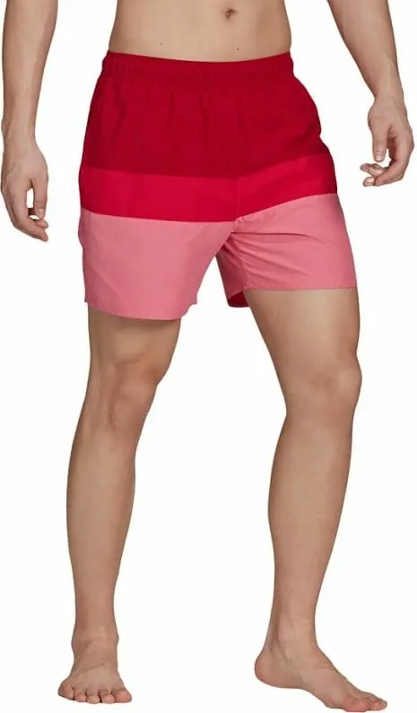 Pamja 3