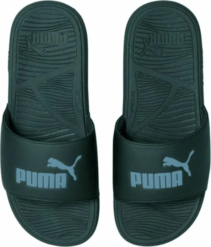 Pamja 1