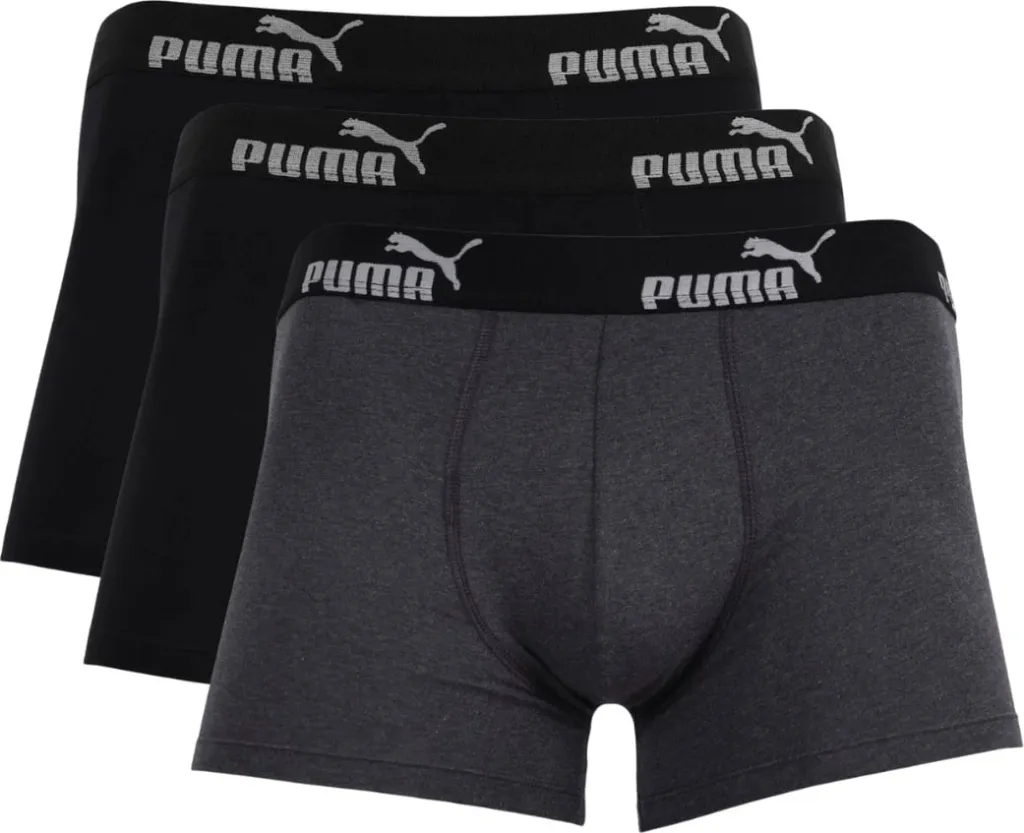 Pamja 1