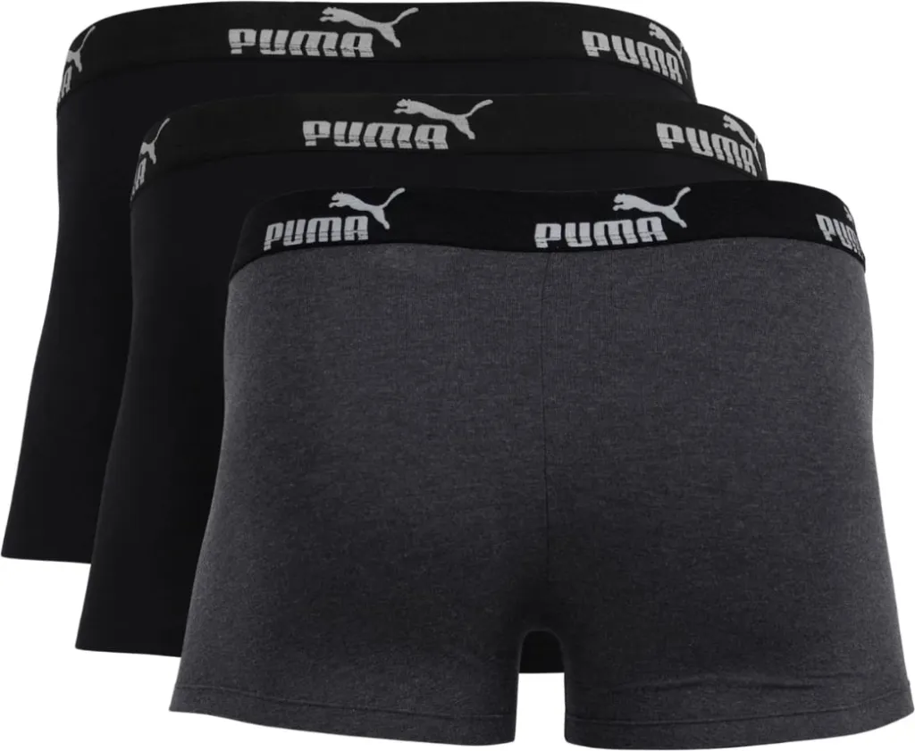 Pamja 2