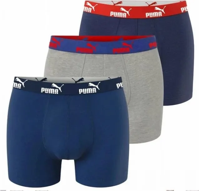 Pamja 2