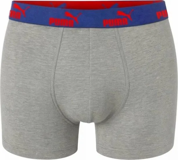 Pamja 4