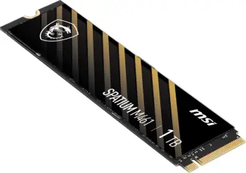 Disk MSI SPATIUM M461, M.2 - 1TB