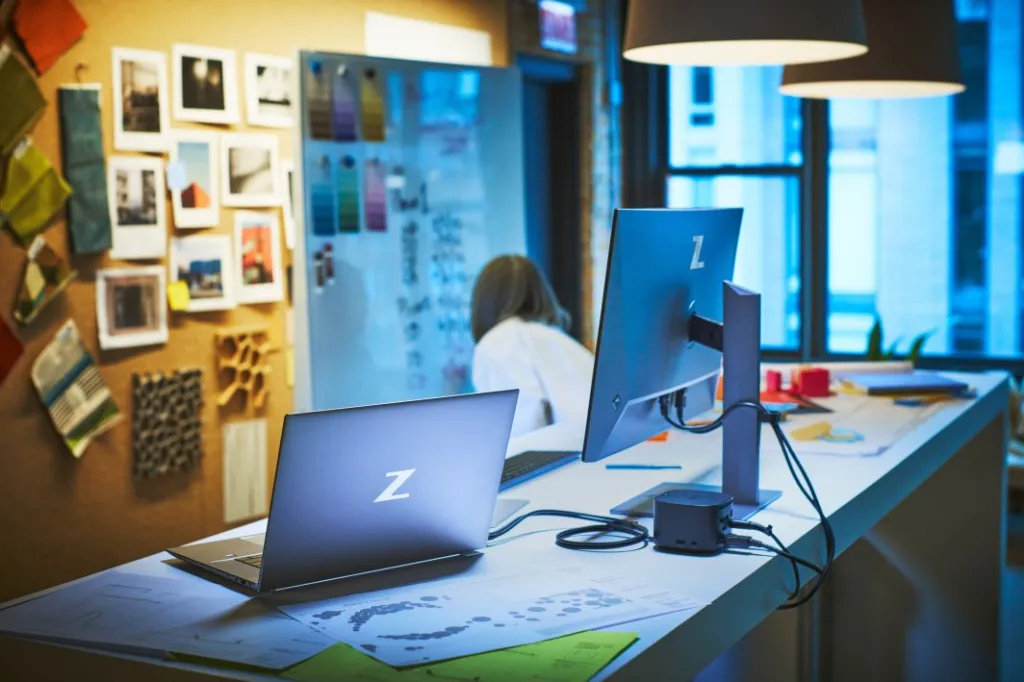Pamja 8