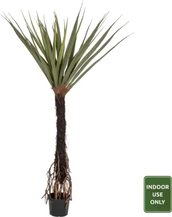 Bimë sintetike dekorative, pema Sisal në vazo, FH7989, 200H cm