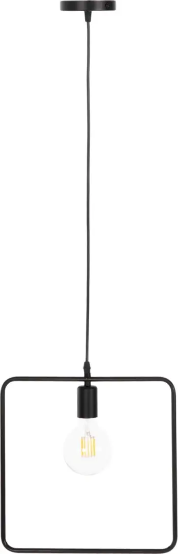 Llambë tavani (HM4095), zezë