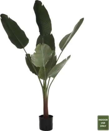Bimë dekorative sintetike në vazo FH7982, Strelitziaceae, 150 cm, Φ17x14.5 cm