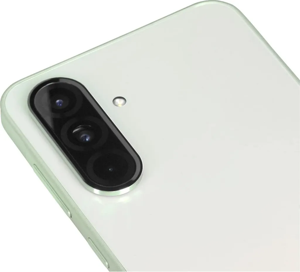 Pamja 6