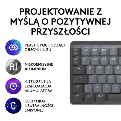 Pamja 5