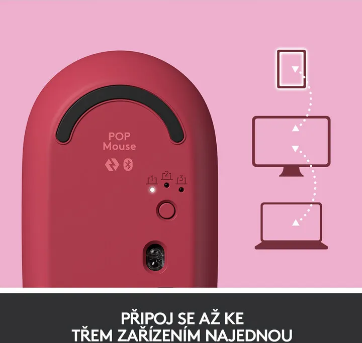 Pamja 8