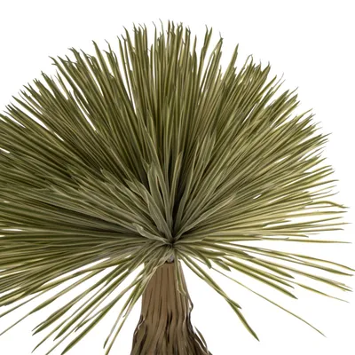 Bimë sintetike dekorative, FH7974, 220H cm - 3