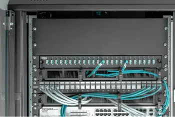 Panel bosh Digitus për kabinet 19 inch, 3U, i zi