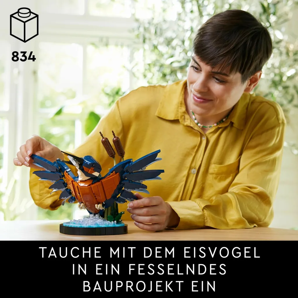 Pamja 31