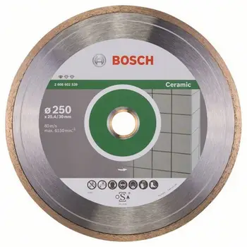 Disk prerës diamanti Bosch, 250x25.40mm