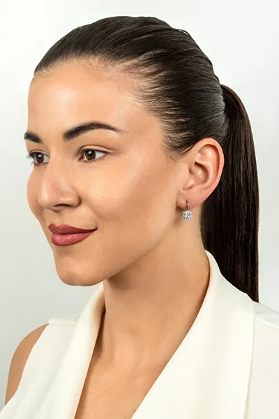 Pamja 4