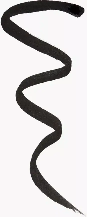 Revolution Master Flick Dip Liquid Eyeliner