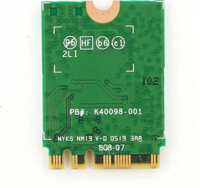 Pamja 3
