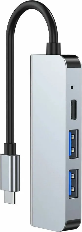 Pamja 3