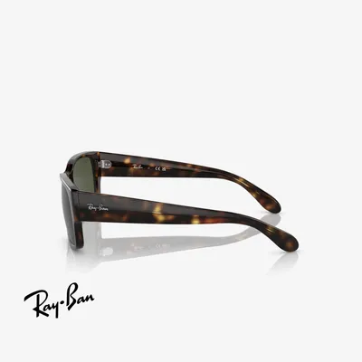 Ray-Ban RB4388 710/31 55 - 3