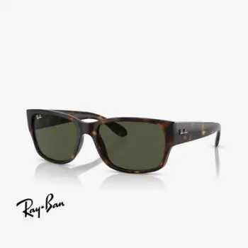 Ray-Ban RB4388 710/31 55