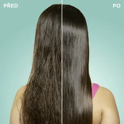 Pamja 3