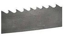 Shirit sharre Dedra DED (DED77061), 1425x6.6x0.3 mm