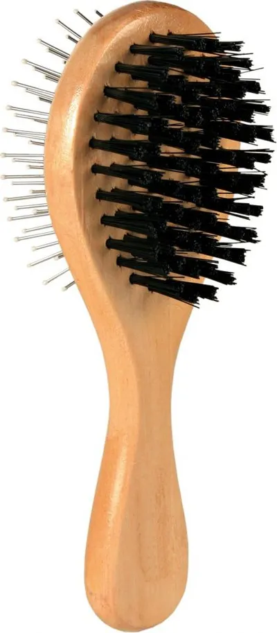 Pamja 1