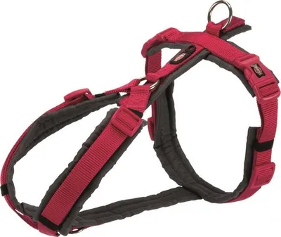 Parzmore për qen Trixie, 70-85 cm / 25 mm, e kuqe/kaftë - 1