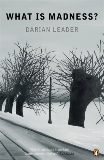 What Is Madness - Darian Leader