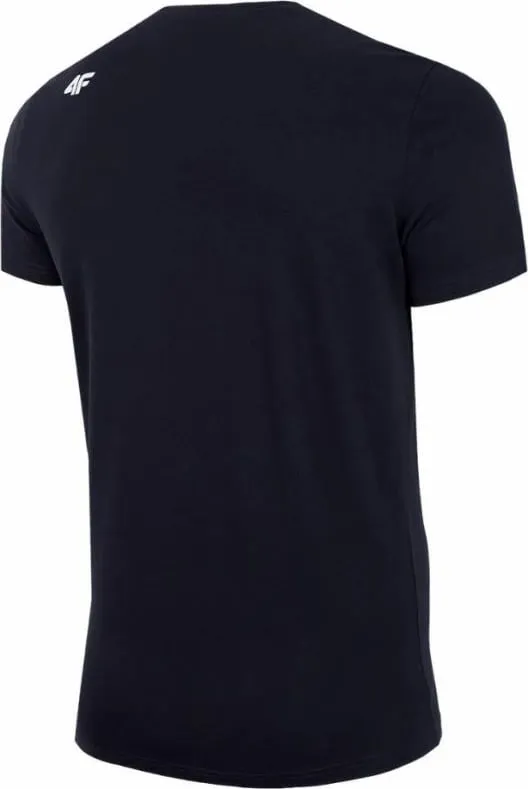 Pamja 2