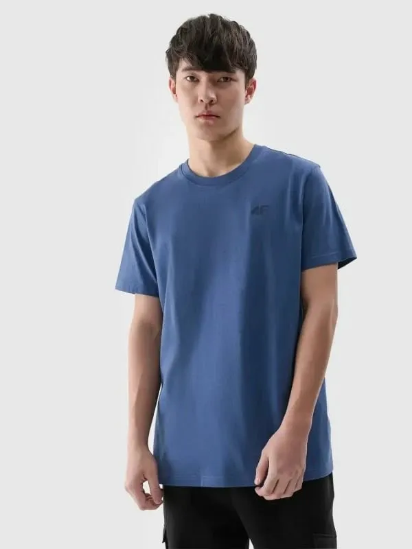 Pamja 2