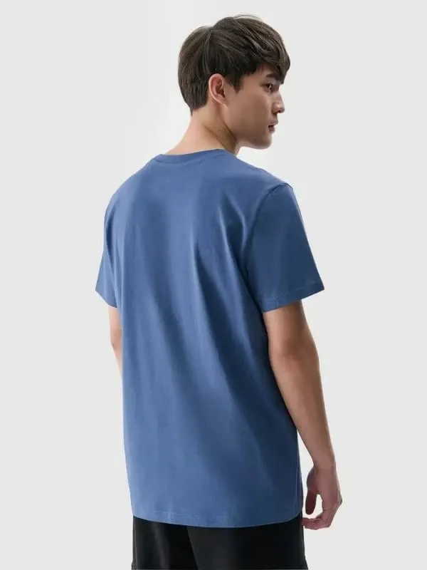 Pamja 3