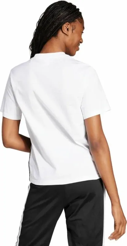 Pamja 3