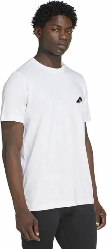 Pamja 8