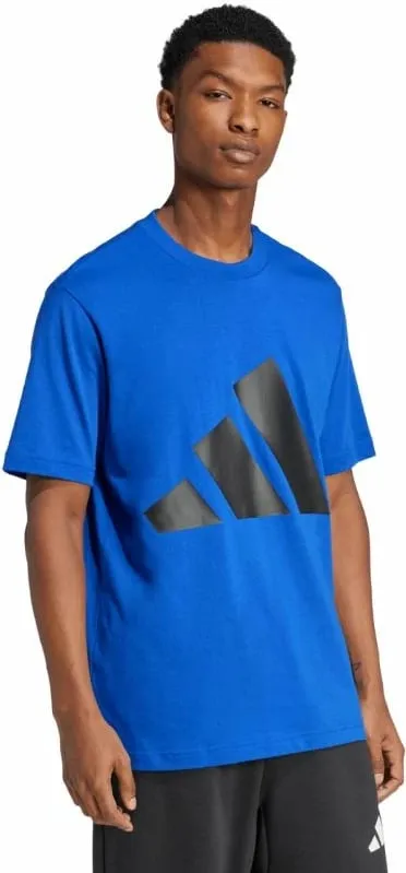 Pamja 3