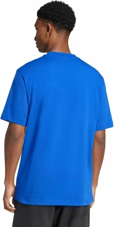 Pamja 4