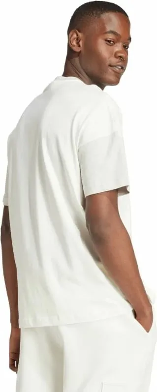Pamja 3