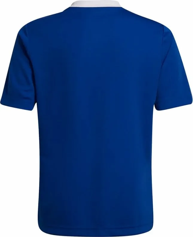 Maicë për fëmijë adidas, blu - 2