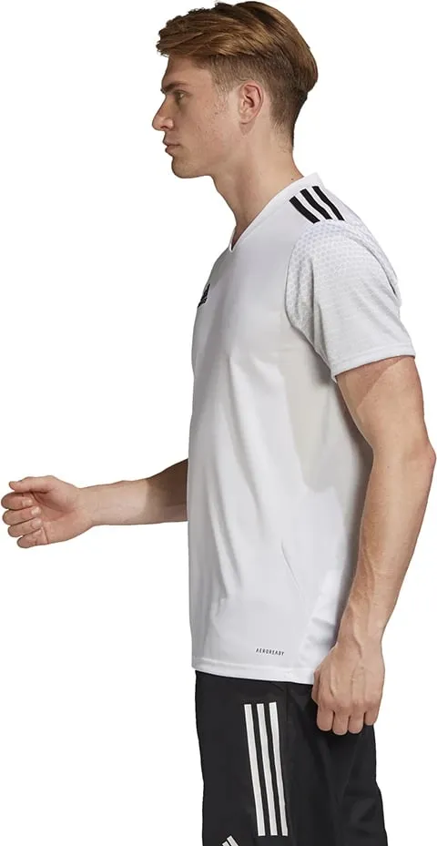 Pamja 3