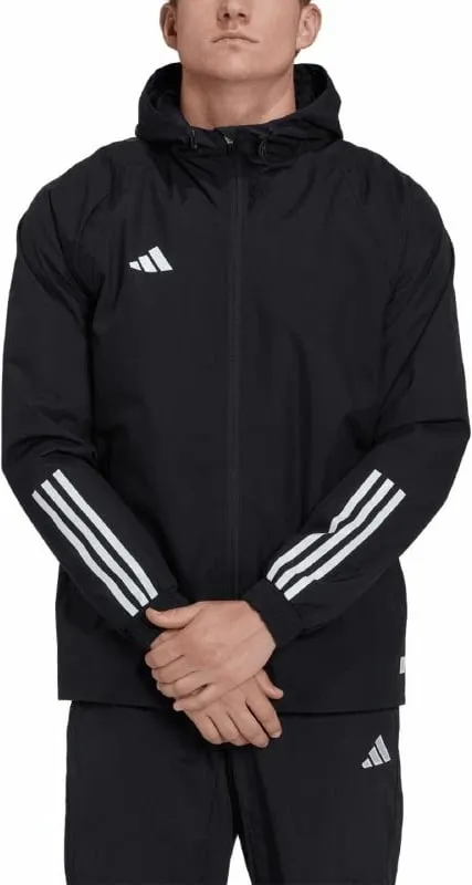 Pamja 3