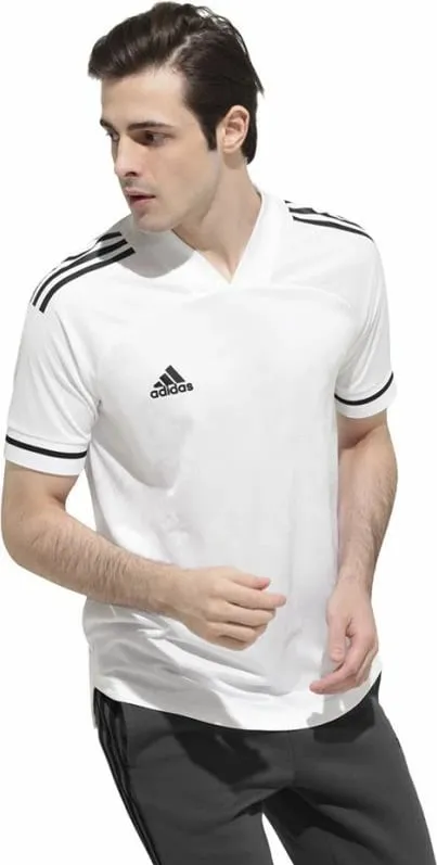 Pamja 3