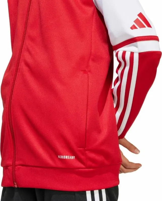 Pamja 11