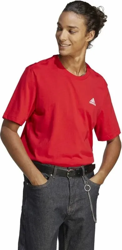 Pamja 4