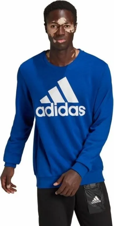 Pamja 2