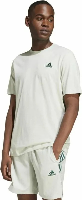 Pamja 4